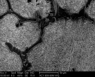 /static/micrographs/micrograph811.png