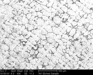 /static/micrographs/micrograph813.png