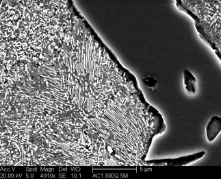 /static/micrographs/micrograph814.png