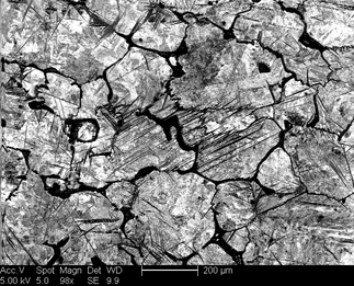 /static/micrographs/micrograph815.png