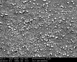 /static/micrographs/micrograph82.png