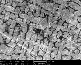 /static/micrographs/micrograph820.png