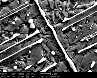 /static/micrographs/micrograph821.png