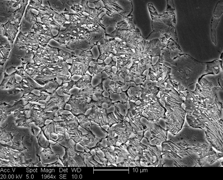 /static/micrographs/micrograph825.png