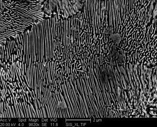 /static/micrographs/micrograph828.png