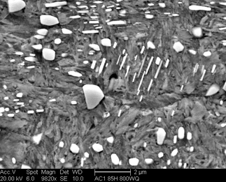 /static/micrographs/micrograph831.png