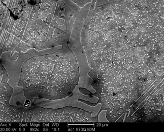 /static/micrographs/micrograph832.png