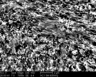 /static/micrographs/micrograph833.png