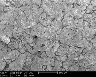 /static/micrographs/micrograph835.png