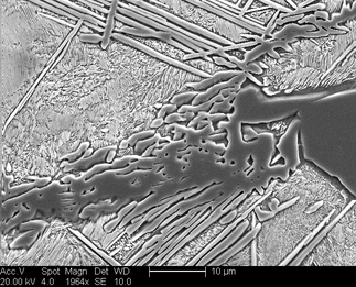 /static/micrographs/micrograph836.png