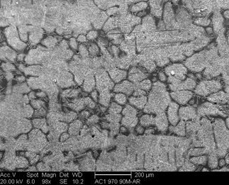 /static/micrographs/micrograph841.png