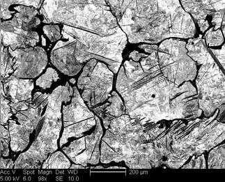 /static/micrographs/micrograph843.png