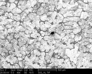 /static/micrographs/micrograph844.png