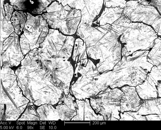 /static/micrographs/micrograph845.png