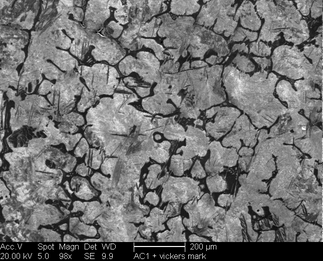 /static/micrographs/micrograph847.png