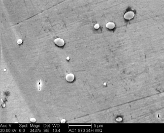 /static/micrographs/micrograph854.png