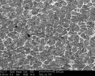 /static/micrographs/micrograph855.png