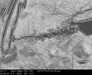 /static/micrographs/micrograph857.png