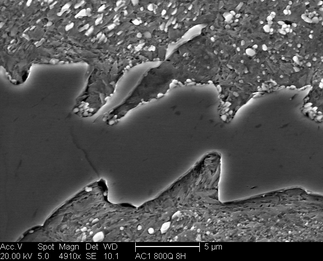 /static/micrographs/micrograph858.png