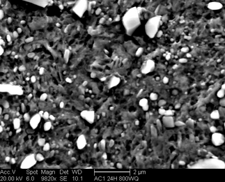 /static/micrographs/micrograph859.png