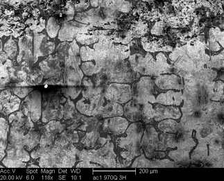 /static/micrographs/micrograph86.png