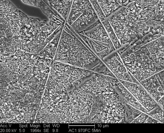 /static/micrographs/micrograph862.png