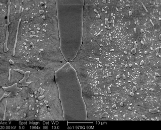 /static/micrographs/micrograph864.png