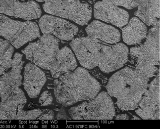 /static/micrographs/micrograph865.png
