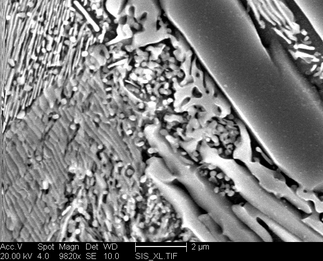 /static/micrographs/micrograph866.png