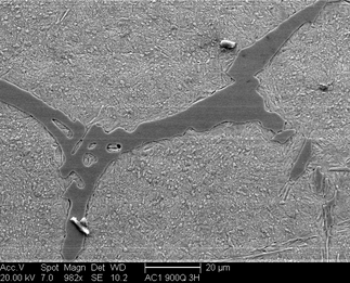 /static/micrographs/micrograph867.png