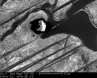 /static/micrographs/micrograph875.png