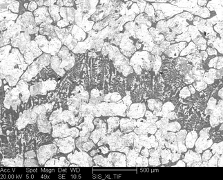 /static/micrographs/micrograph877.png