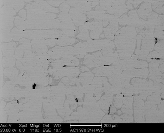 /static/micrographs/micrograph88.png