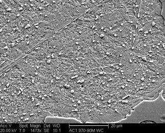 /static/micrographs/micrograph881.png