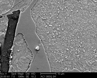 /static/micrographs/micrograph883.png