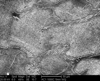 /static/micrographs/micrograph884.png