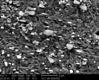 /static/micrographs/micrograph885.png