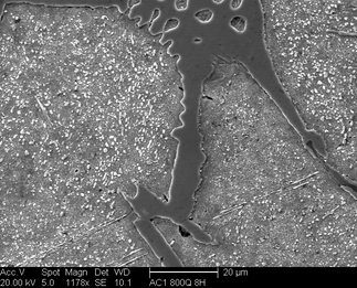 /static/micrographs/micrograph887.png