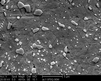 /static/micrographs/micrograph888.png