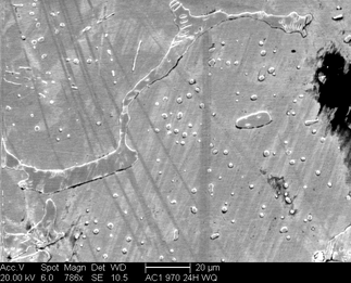 /static/micrographs/micrograph889.png