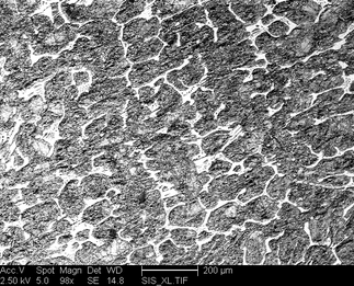 /static/micrographs/micrograph89.png