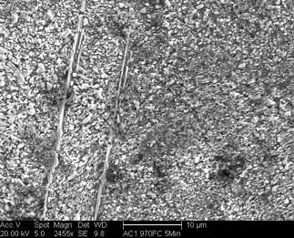/static/micrographs/micrograph890.png