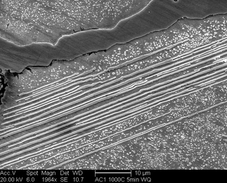 /static/micrographs/micrograph893.png