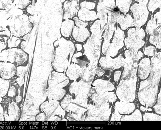 /static/micrographs/micrograph897.png