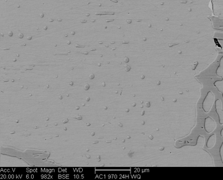 /static/micrographs/micrograph90.png