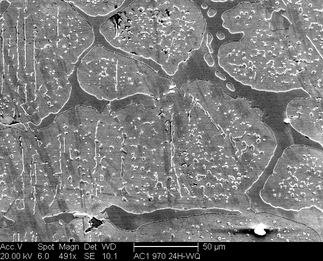 /static/micrographs/micrograph905.png
