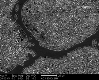 /static/micrographs/micrograph906.png