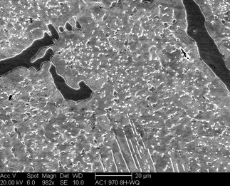 /static/micrographs/micrograph907.png