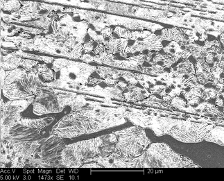 /static/micrographs/micrograph908.png
