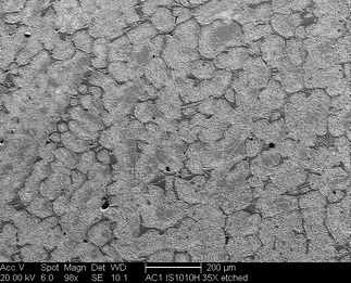 /static/micrographs/micrograph909.png